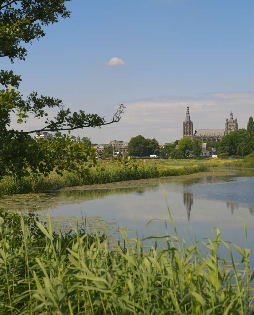 golden tulip hotel central