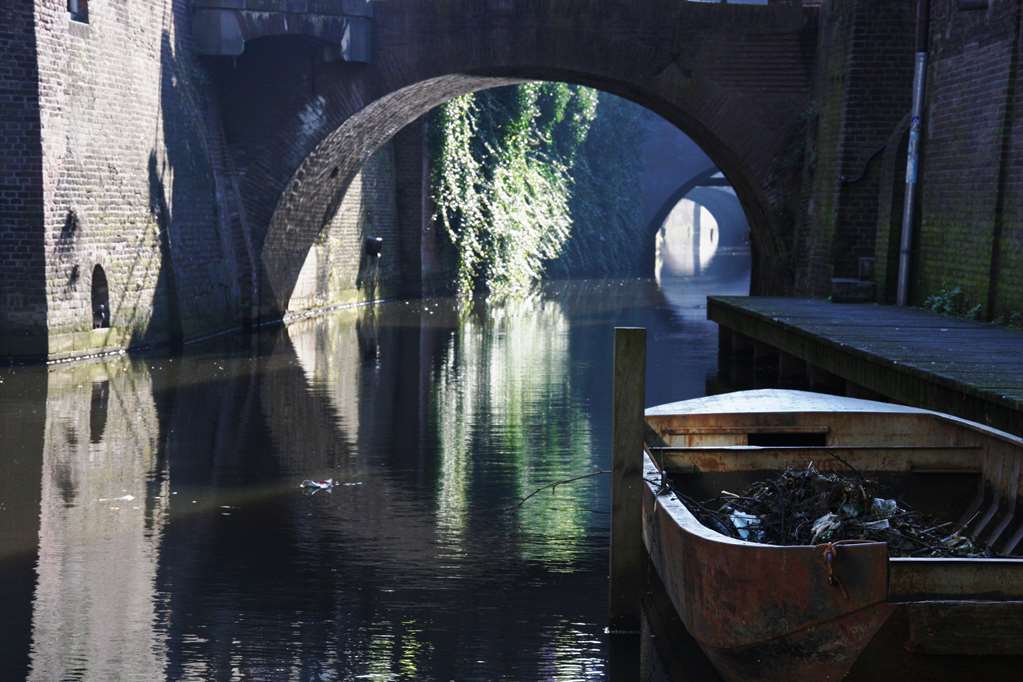 golden tulip hotel central