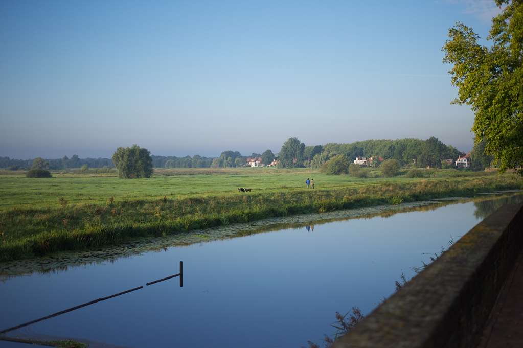 golden tulip hotel central