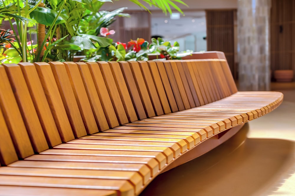 falesia hotel adults only