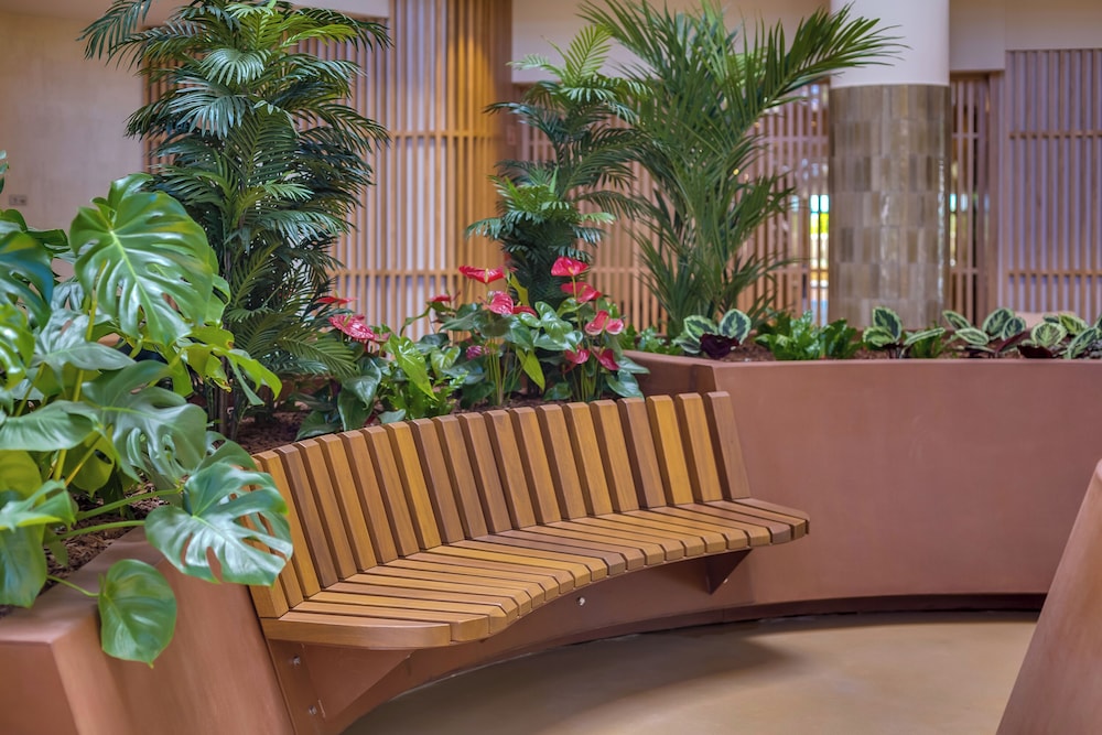 falesia hotel adults only