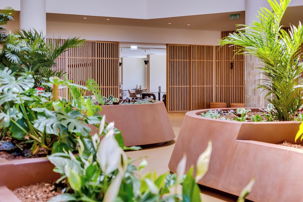 falesia hotel adults only