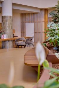 falesia hotel adults only