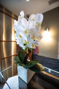 the solita soho hotel