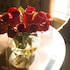 ayres hotel manhattan beach lax