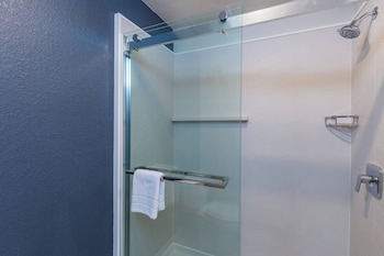 fairfield inn and suites by marriott tampa north