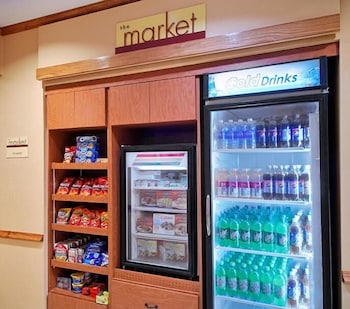 fairfield inn and suites by marriott tampa north