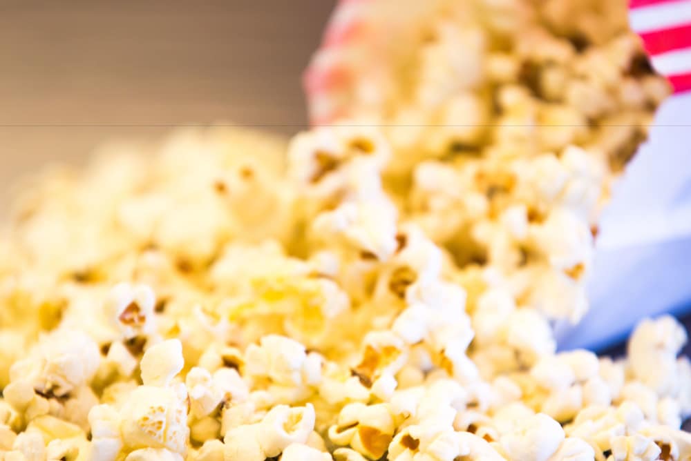 pear tree inn st louis near union station