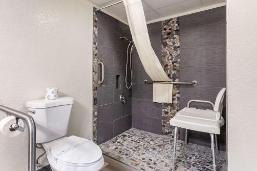 quality inn branson on the strip