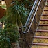 hotel los gatos