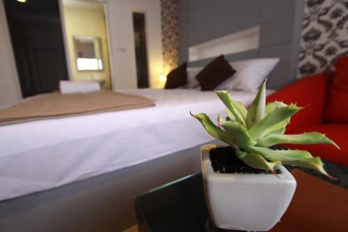 bearing26 hotel
