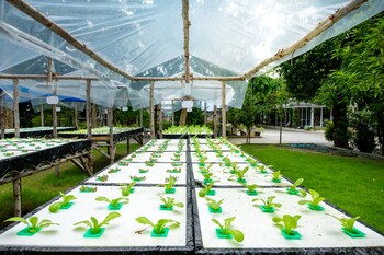 mac garden resort