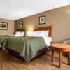 quality inn and suites university area