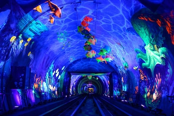 the hongta hotel a luxury collection hotel shanghai