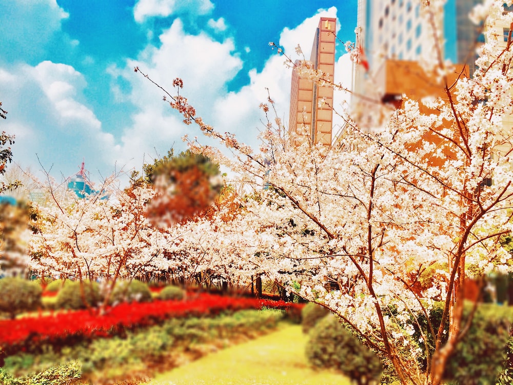 the hongta hotel a luxury collection hotel shanghai