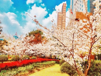 the hongta hotel a luxury collection hotel shanghai