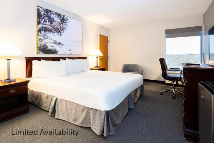 the view inn and suites