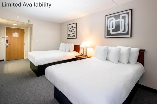 the view inn and suites
