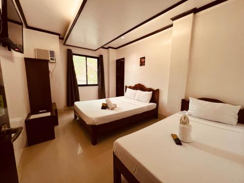 alocasia hostel