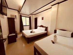 Alocasia Hostel,,3 star