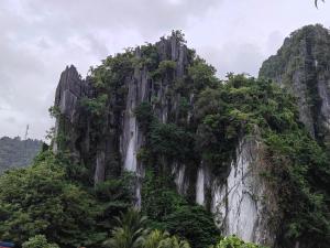el nido