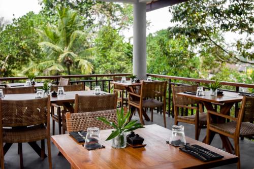 dinara ubud
