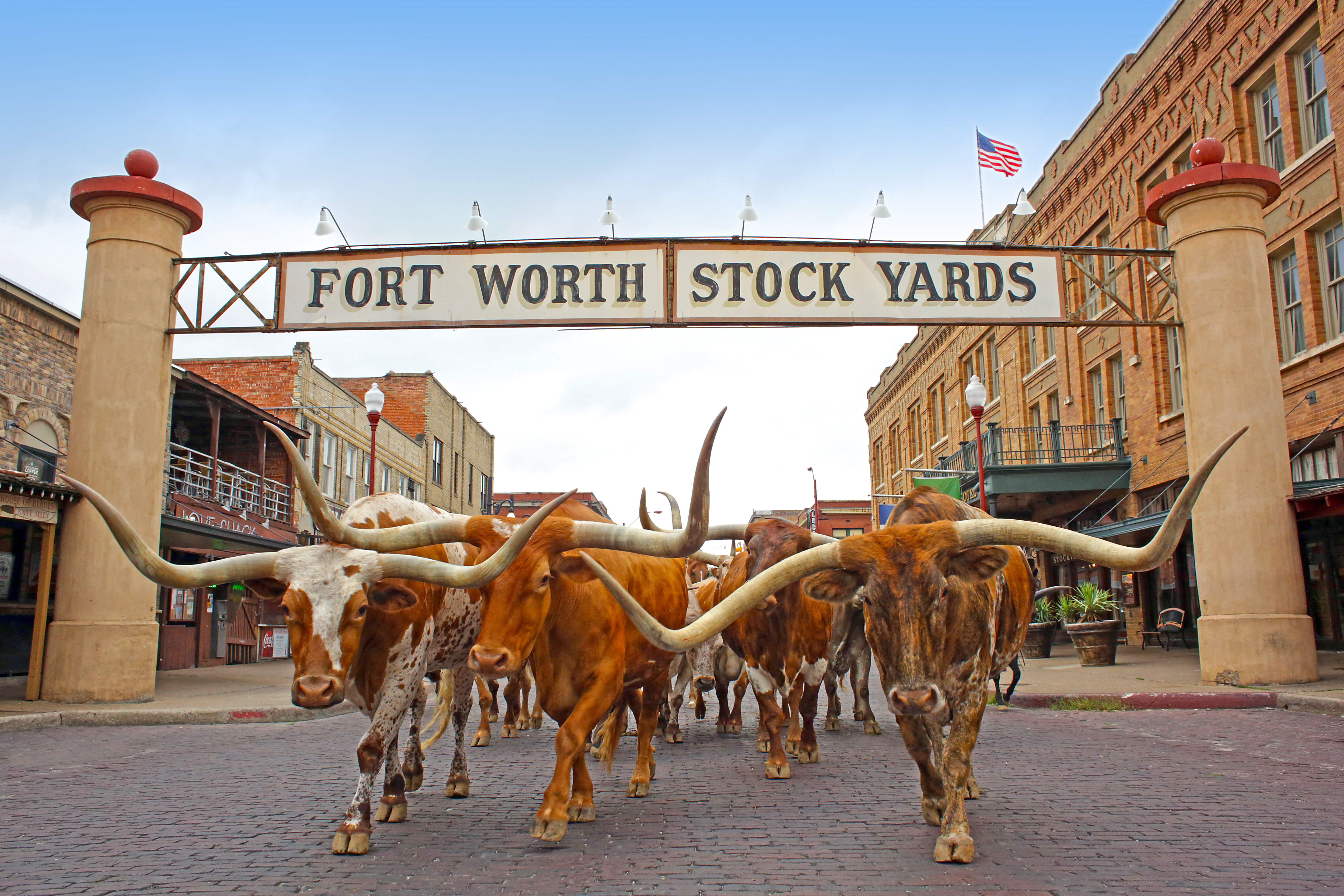 holiday inn express hotel and suites fort worth i 20 by ihg