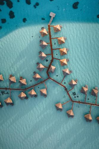 intercontinental bora bora le moana resort