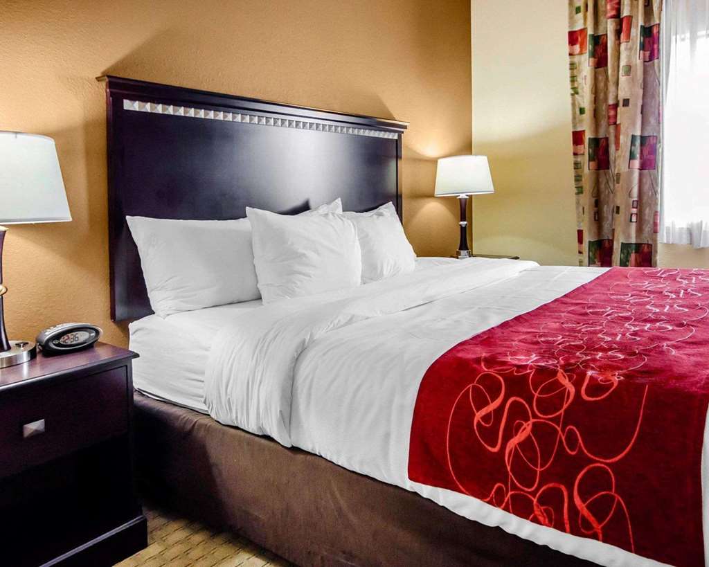 comfort suites louisville east