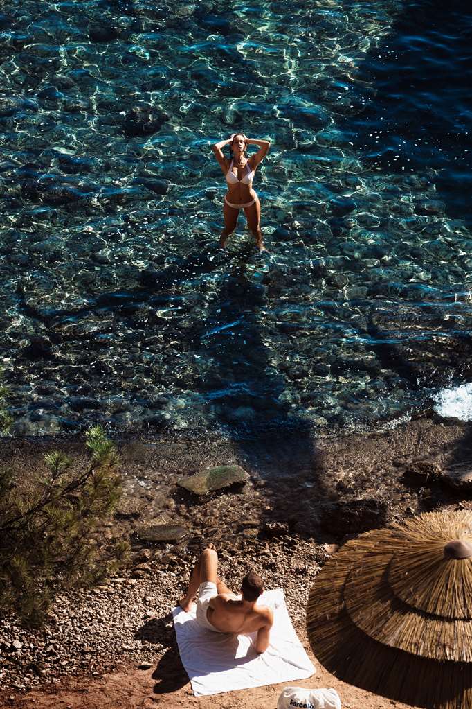 barcelo illetas albatros adults only