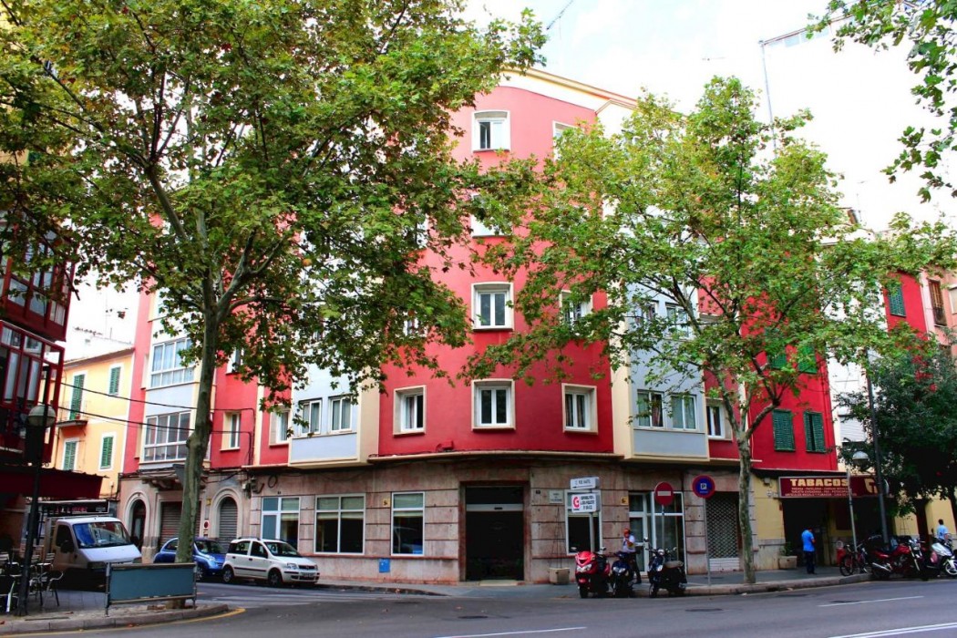 amic colon