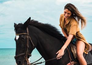 sant antoni de portmany