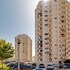 akisol armacao pera sunny vi