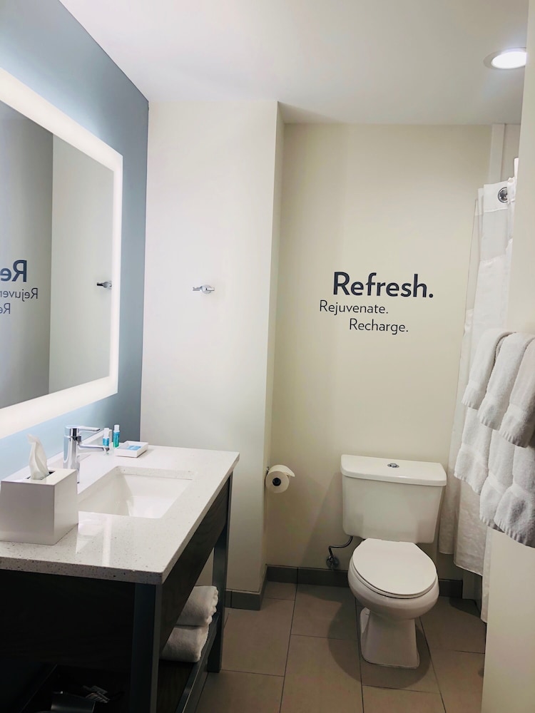 even hotel ann arbor s university area by ihg