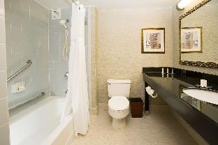 doubletree by hilton detroit novi