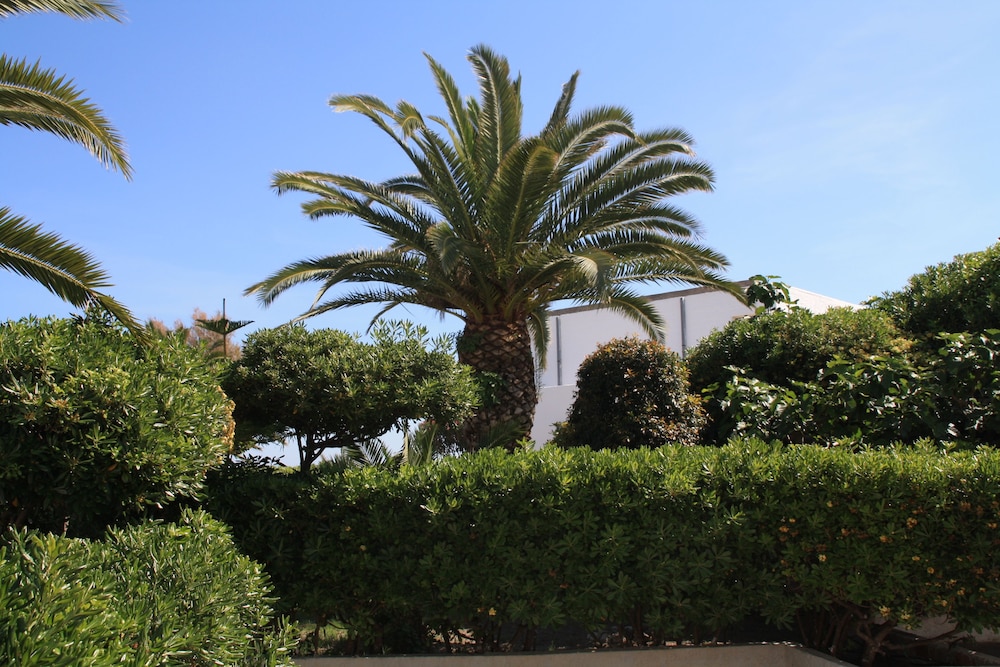 hotel villaggio club altalia residence