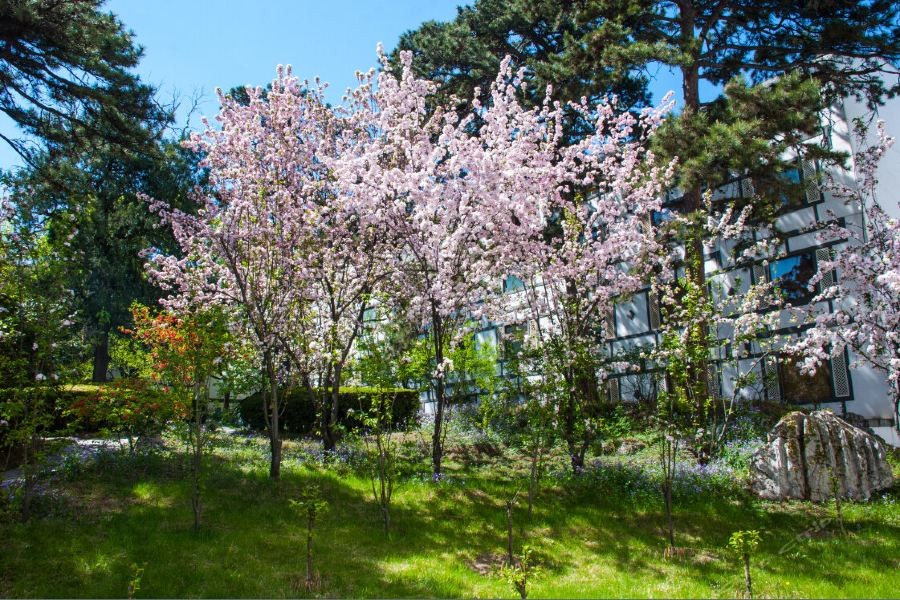 fragrant hill hotel