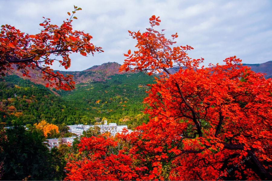 fragrant hill hotel