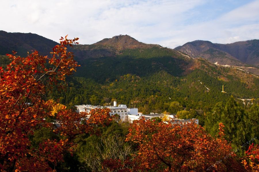 fragrant hill hotel