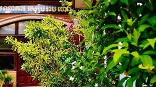 new siem reap town hotel