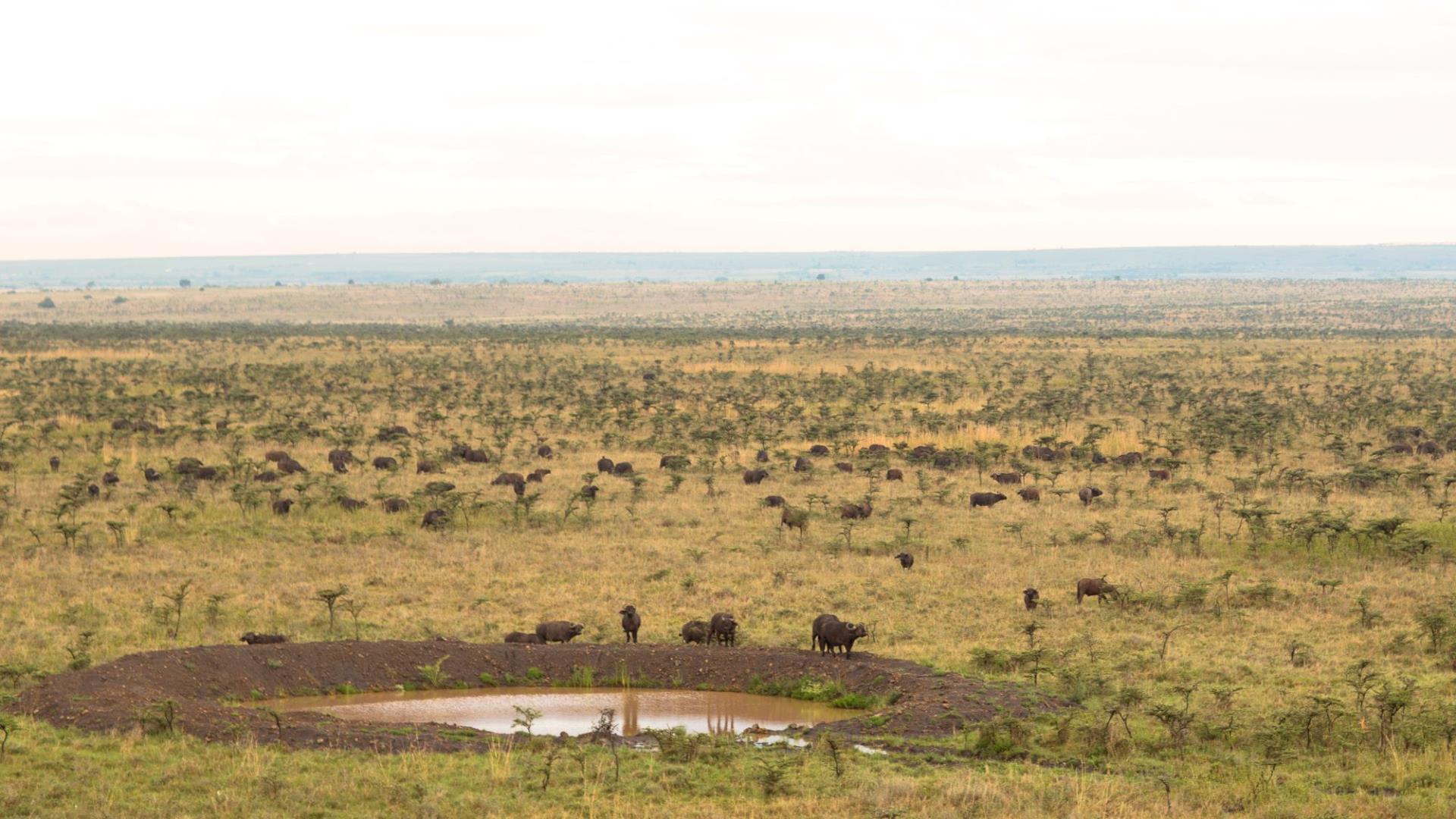 nairobi
