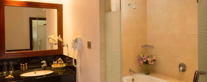 254 ole sereni nairobi park view