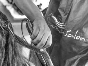 254 ole sereni nairobi park view