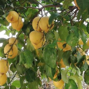 home scala dei turchi bandb