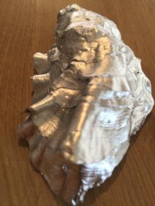 ibis saint brieuc yffiniac