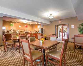 comfort inn and suites