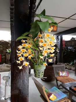 baan tawai lanna resort