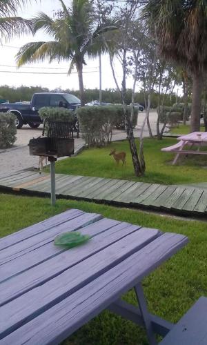 big pine key