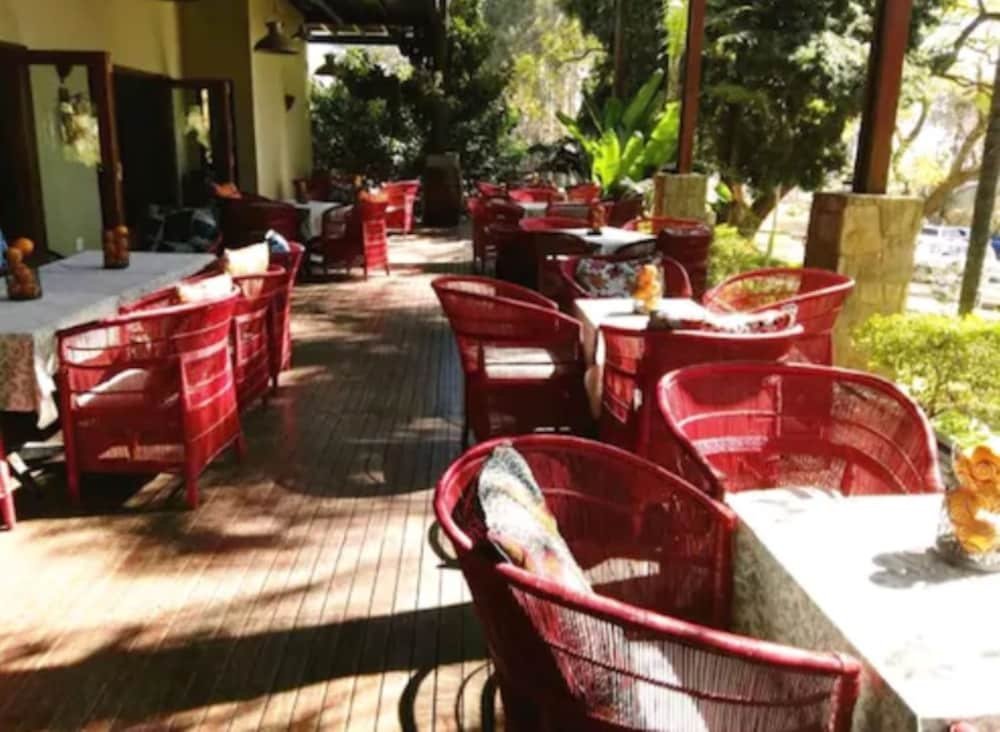 willows boutique hotel