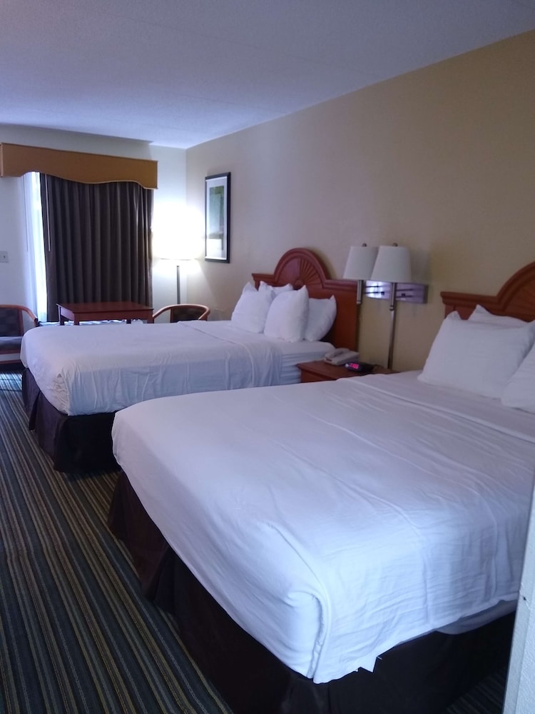 best western of murphy